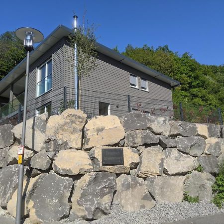 Ferienhaus Schieferterrasse - Waldsee Rieden - Exterior foto